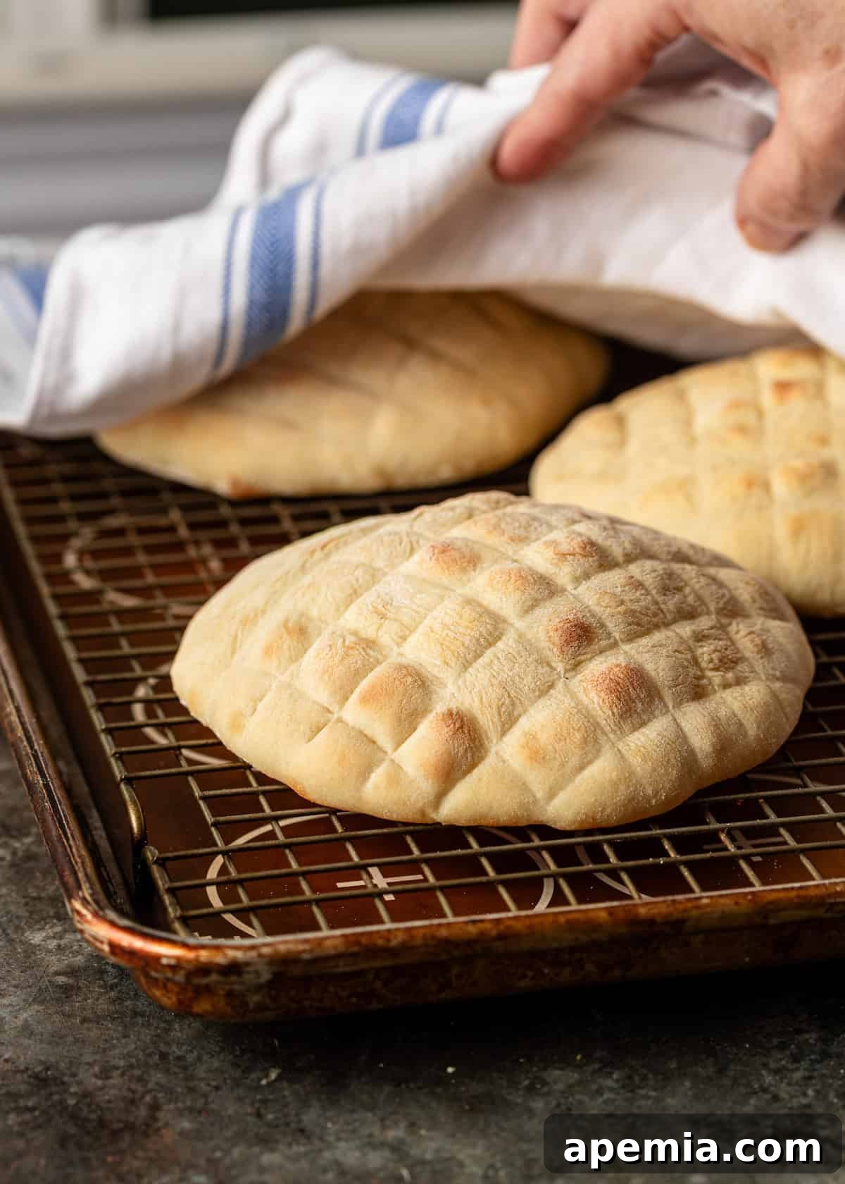 Classic Balkan Flatbread Lepinja 12 closeup side view: ready to serve lepinja on baking rack