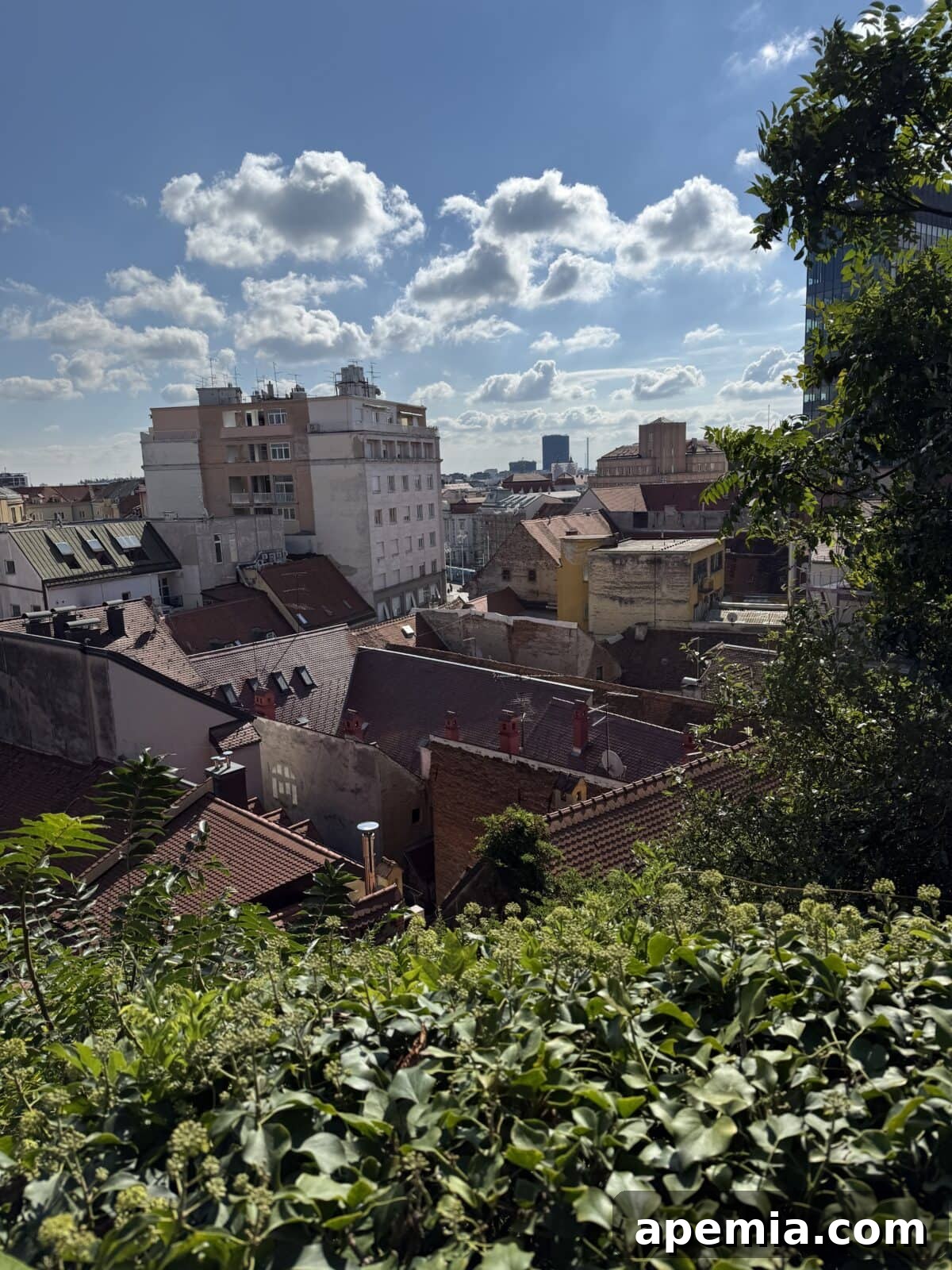 Classic Balkan Flatbread Lepinja 21 beautiful city view