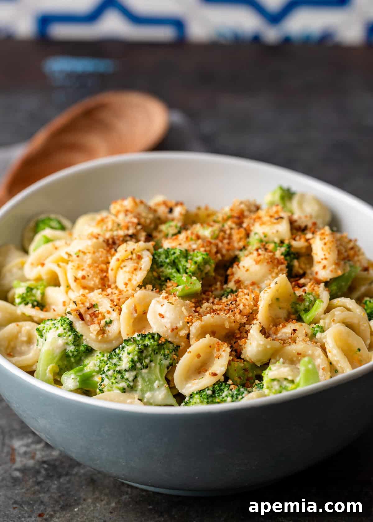 closeup side view: broccoli pasta in white bowl topped with toasted breadcrumbs