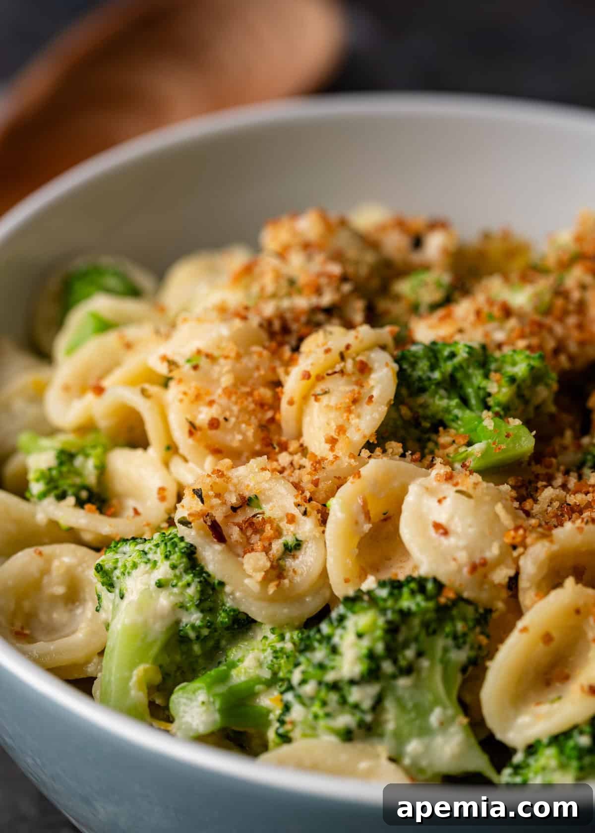 closeup side view: toasted breadcrumbs on top of broccoli pasta