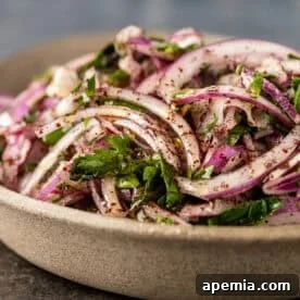 A small, stylized image of the Turkish Sumac Onion Salad.