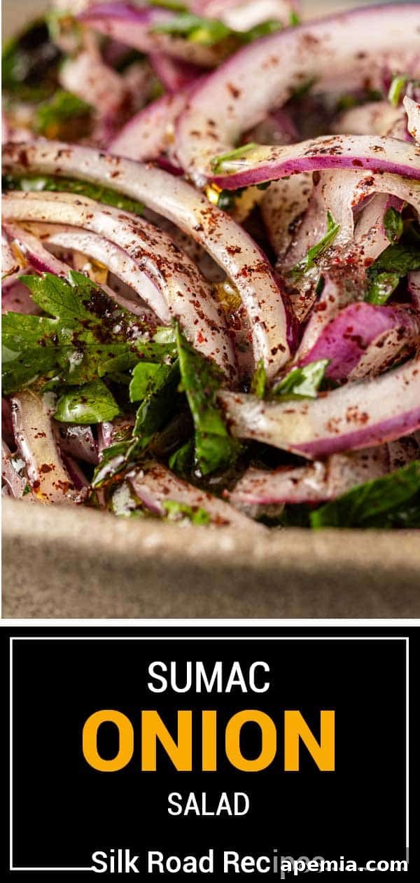 A beautifully arranged serving of sumac onion salad, with a focus on its appetizing colors.