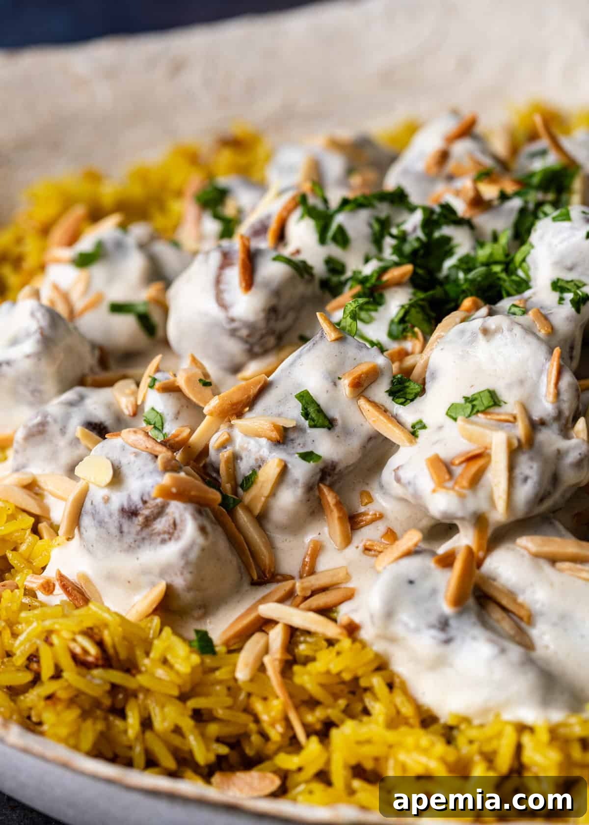 closeup side view: mansaf topped with toasted almonds and parsley