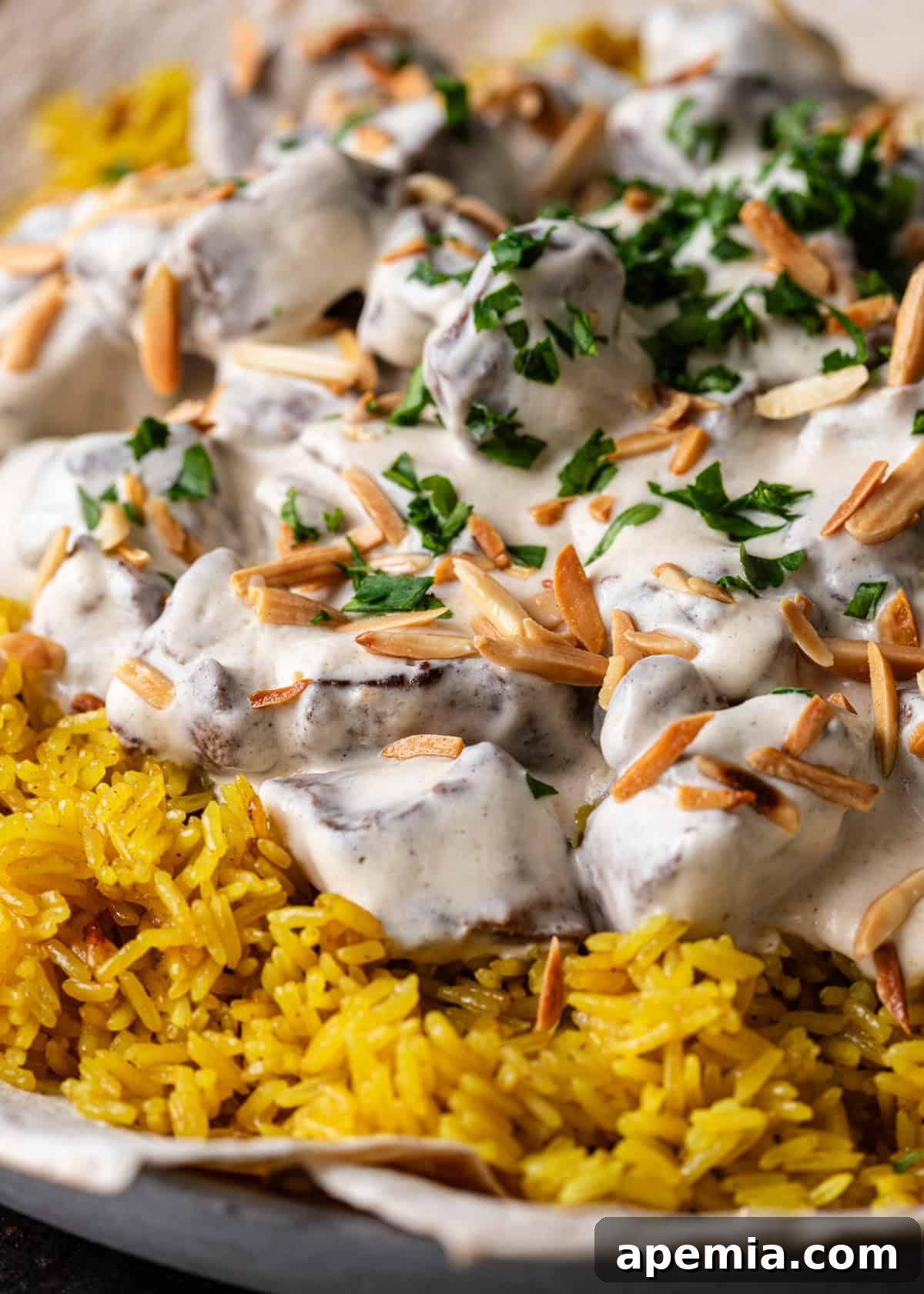 closeup side view: ready to serve mansaf