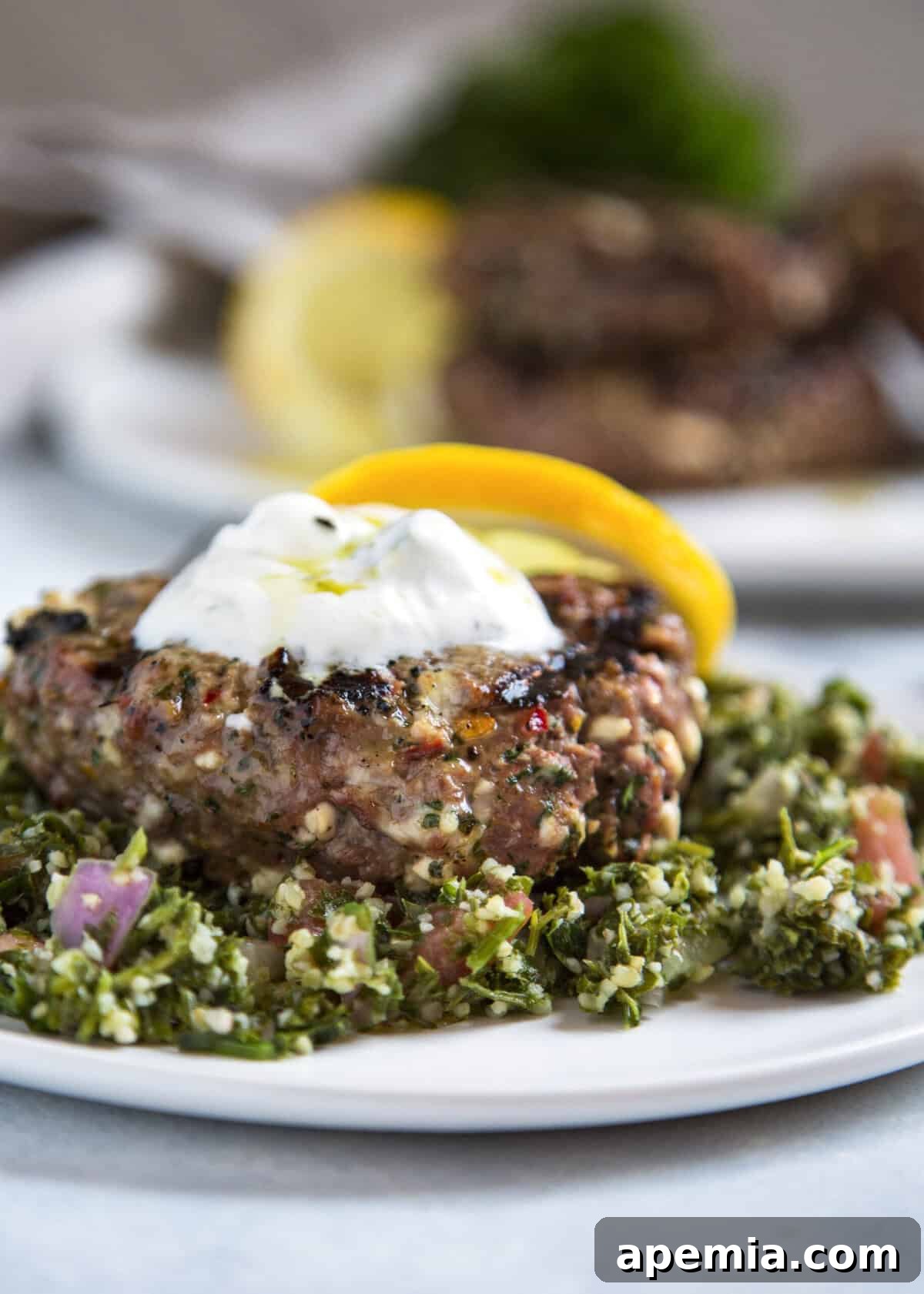 Grilled Greek Lamb Burger with Feta and Tzatziki 7 closeup side view: ready to serve plate of lamb burger with feta