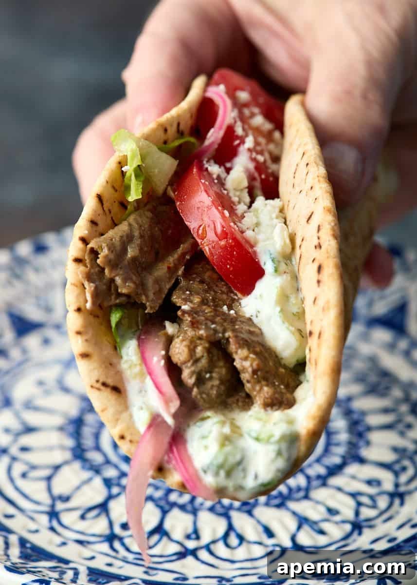 closeup side view: hand holding gyros over top of blue and white plate