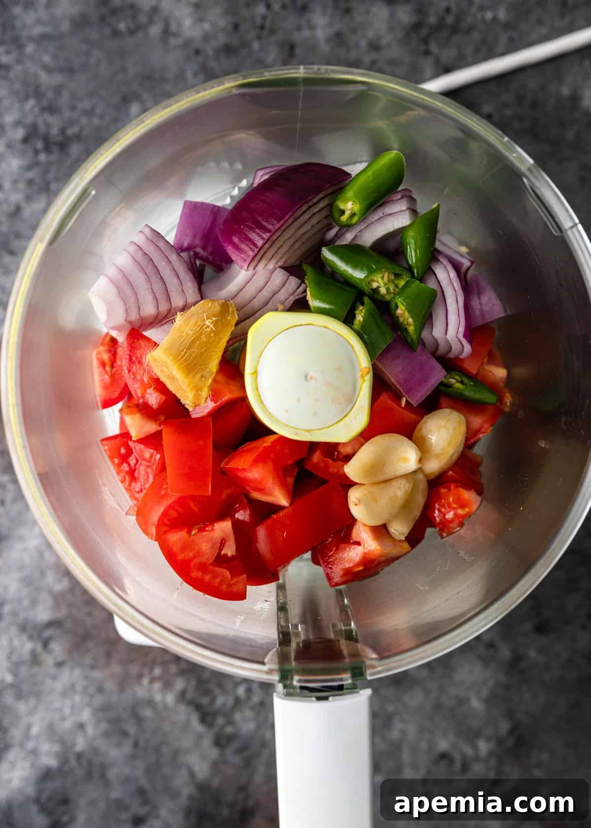 overhead process shot: onion, tomato, ginger, garlic, and chiles in food processor