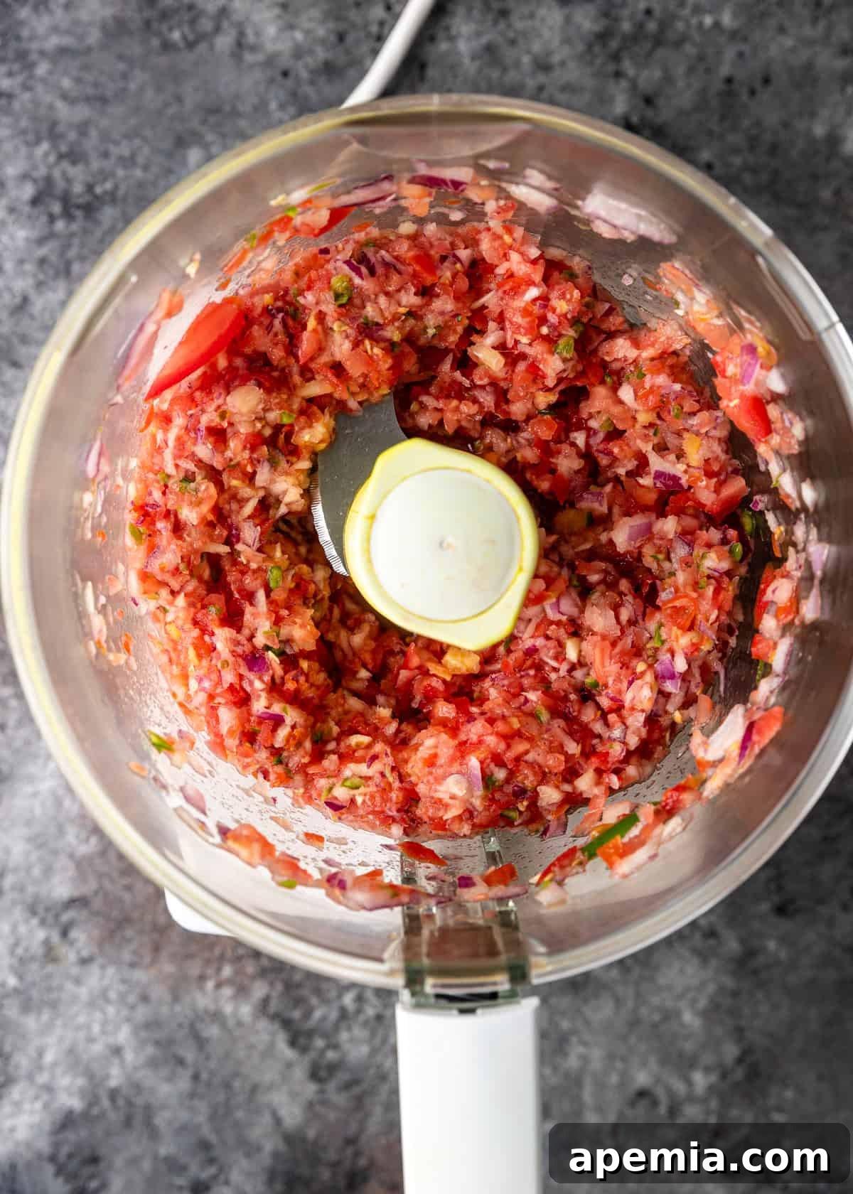 overhead process shot: blended onion, tomato, ginger, garlic, and chiles