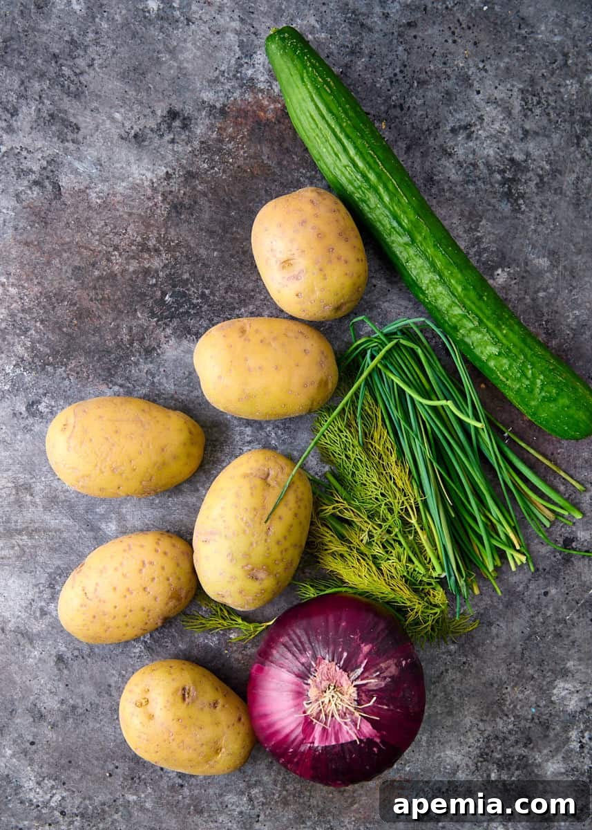 overhead: ingredients to make this Kartoffel-Gurken-Salat recipe